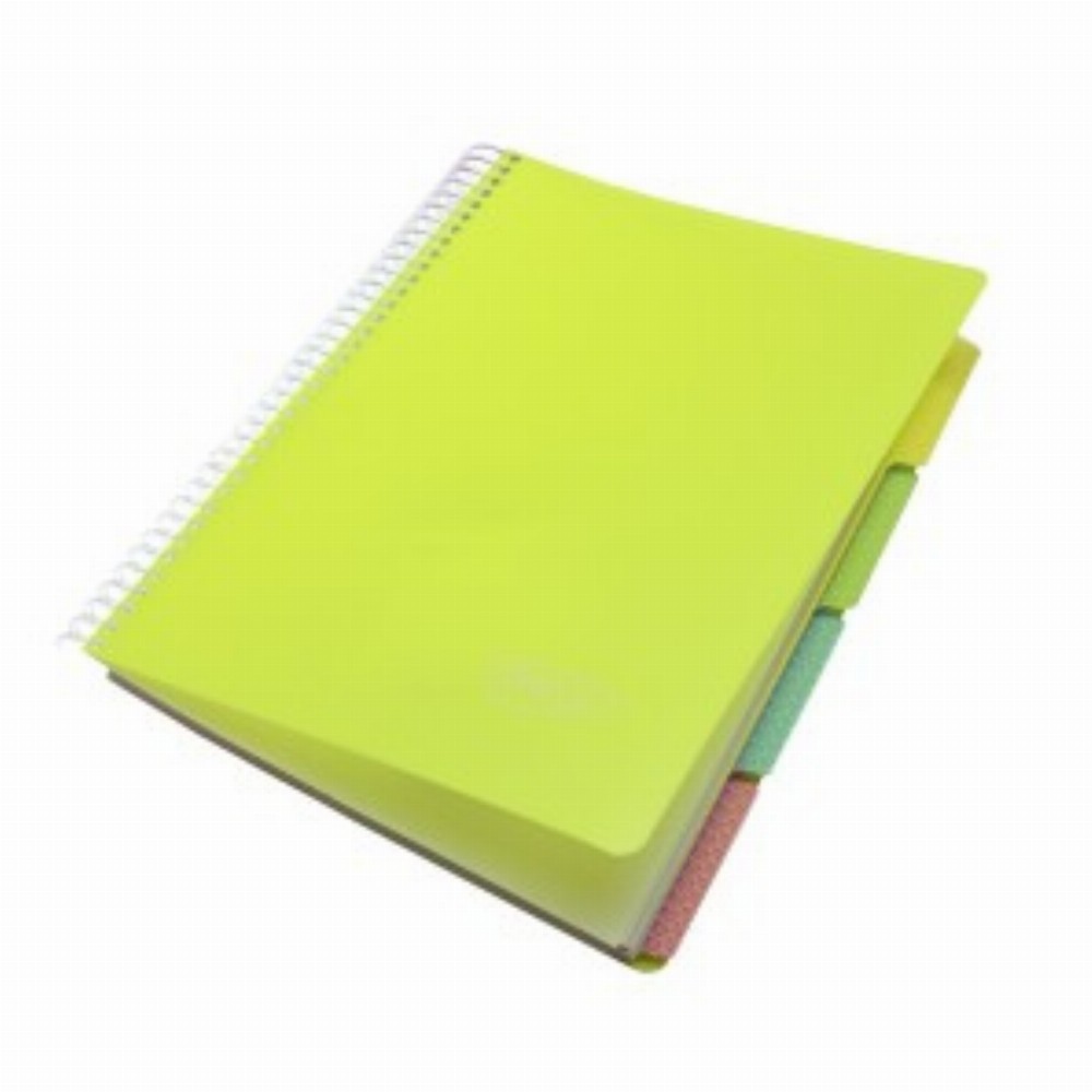 Caiet A4 200 File 5 Subiecte Eminent