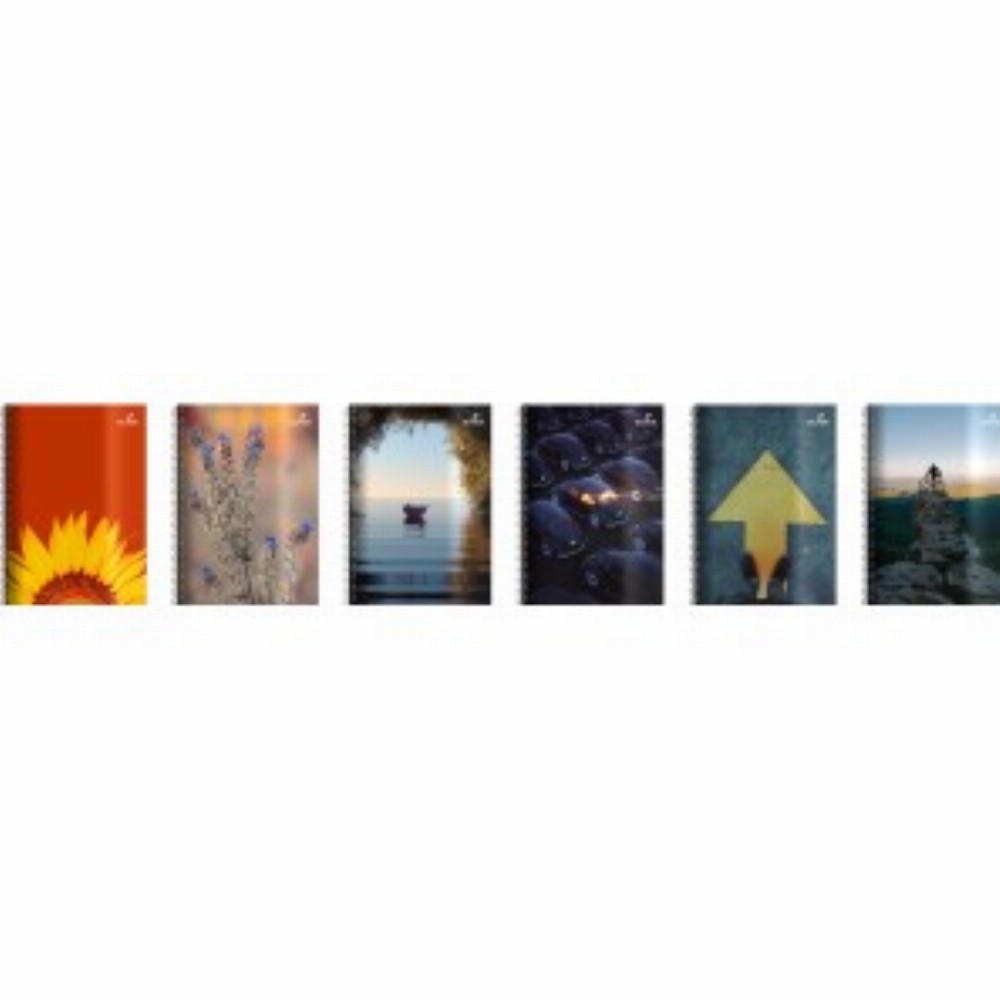 Caiet A4 80 File Spira 12 Buc