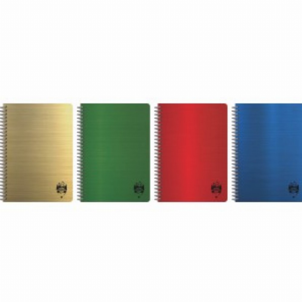 Caiet A4 80 File Spira Ivory