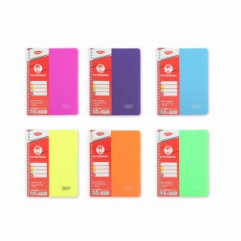 Caiet A5 120 File 4 Subiecte