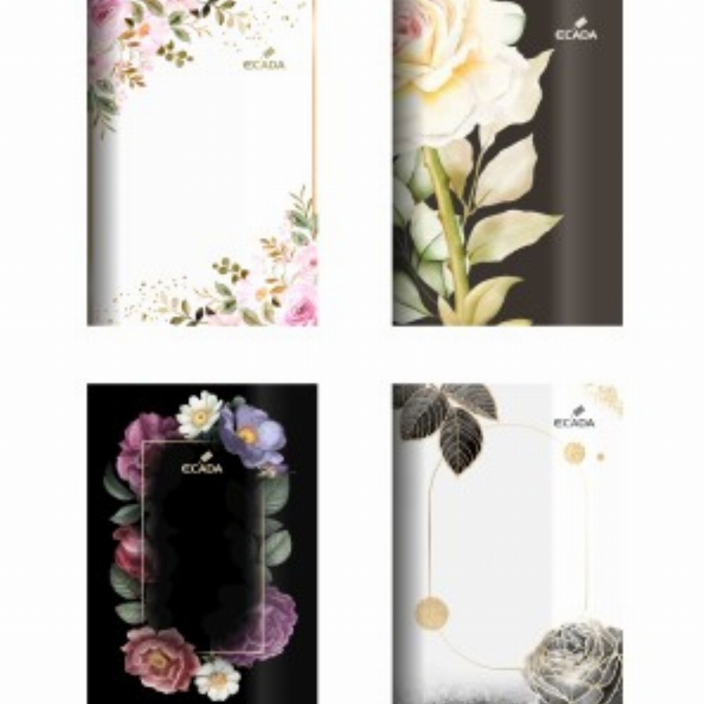 Caiet A5 48 File Repertoar 10 Buc