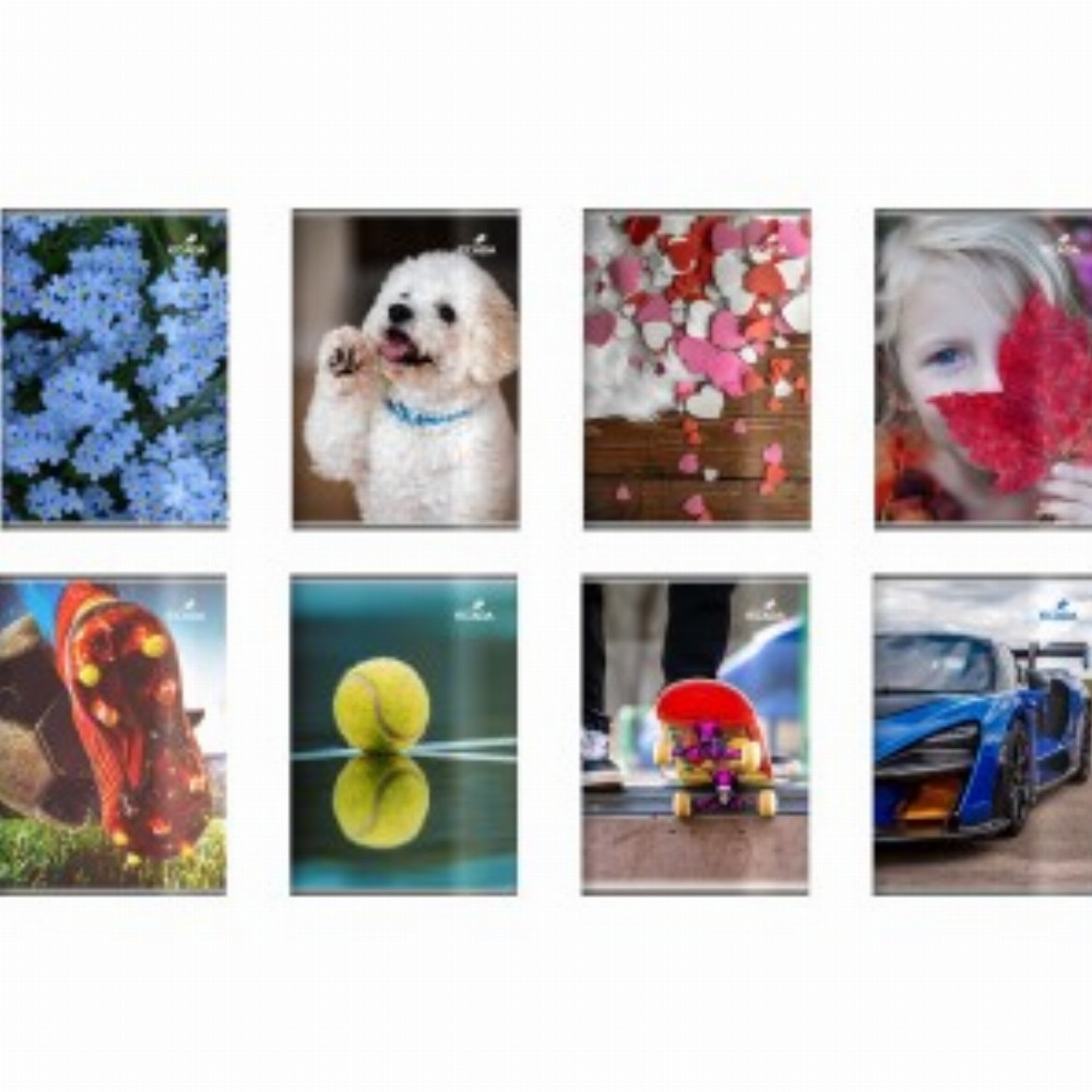 Caiet A5 80 File Policrom 12 Buc