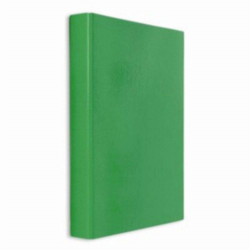 Caiet Mecanic Plastifiat 2 Inele A4 V