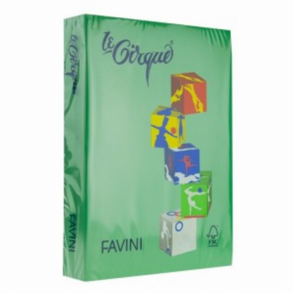 Carton Color 160g Mp A4 207 Verde Padure