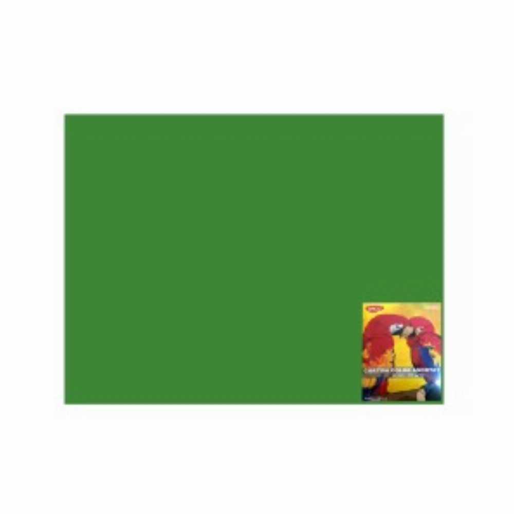 Carton Color Verde Cr 46x64 10coli 240g Mp