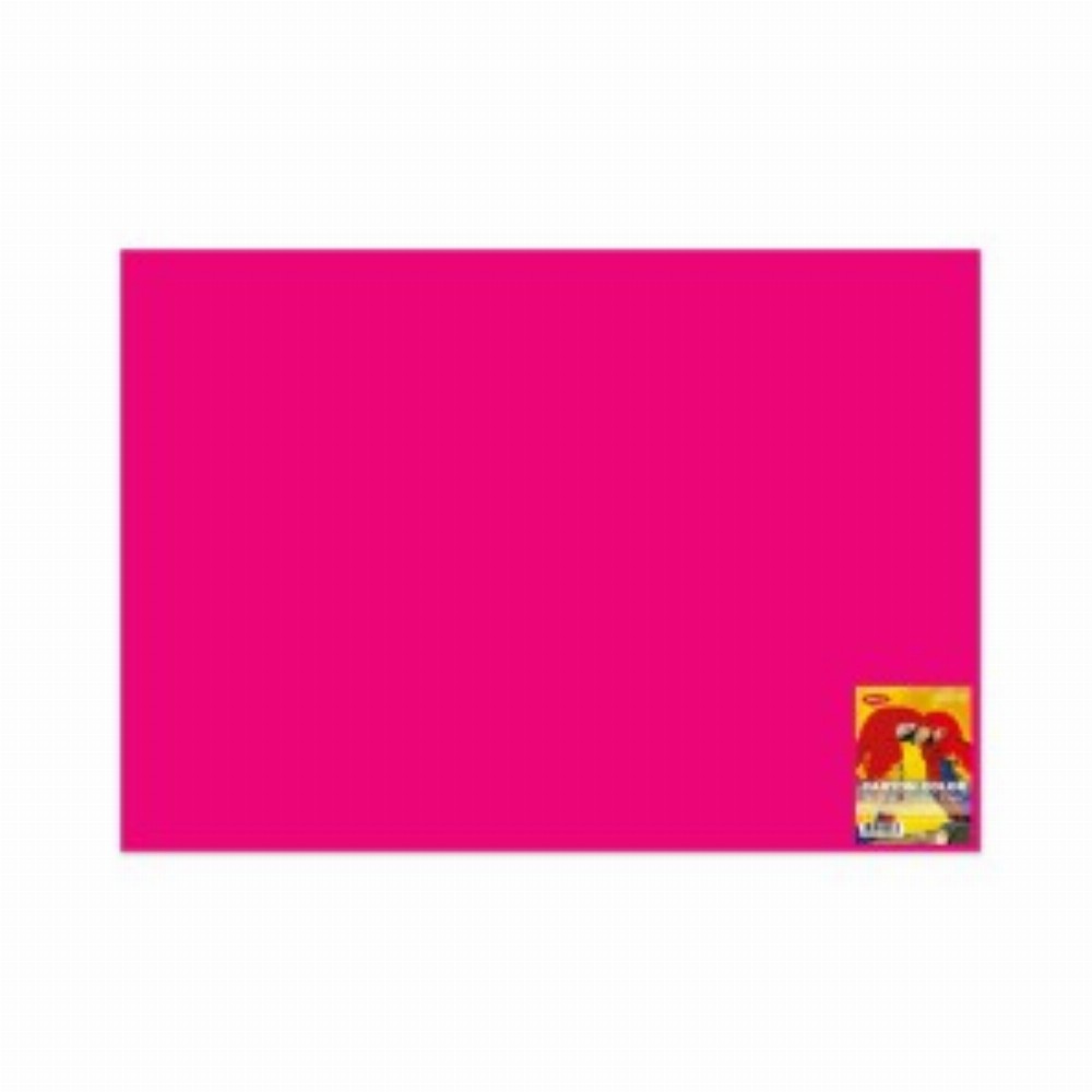 Carton Color Fucsia 270g Mp 70x100 10 Coli