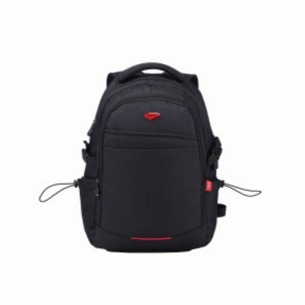 Ghiozdan Sectiune Laptop 48cm