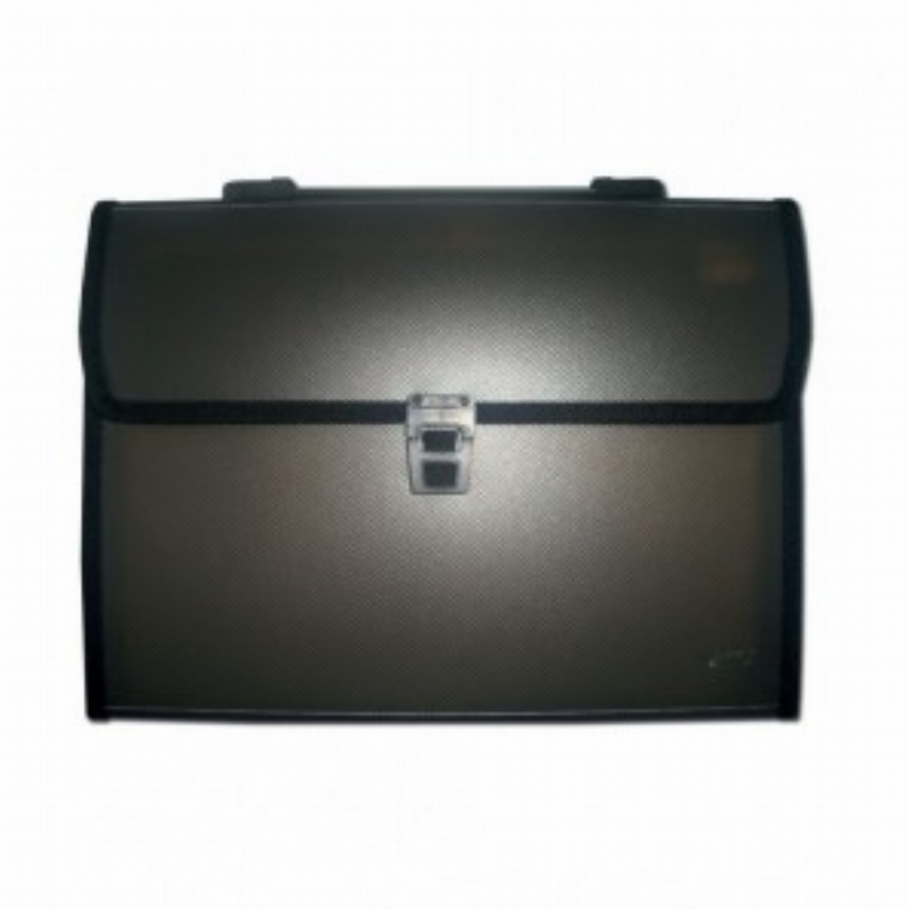 Mapa Plastic 12 Compartimente