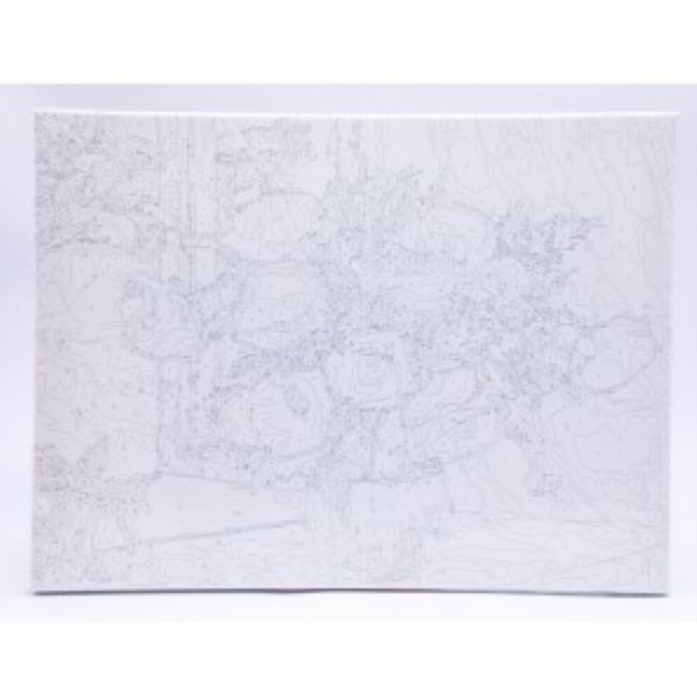 Panza Pictura Pe Numere 30x40cm