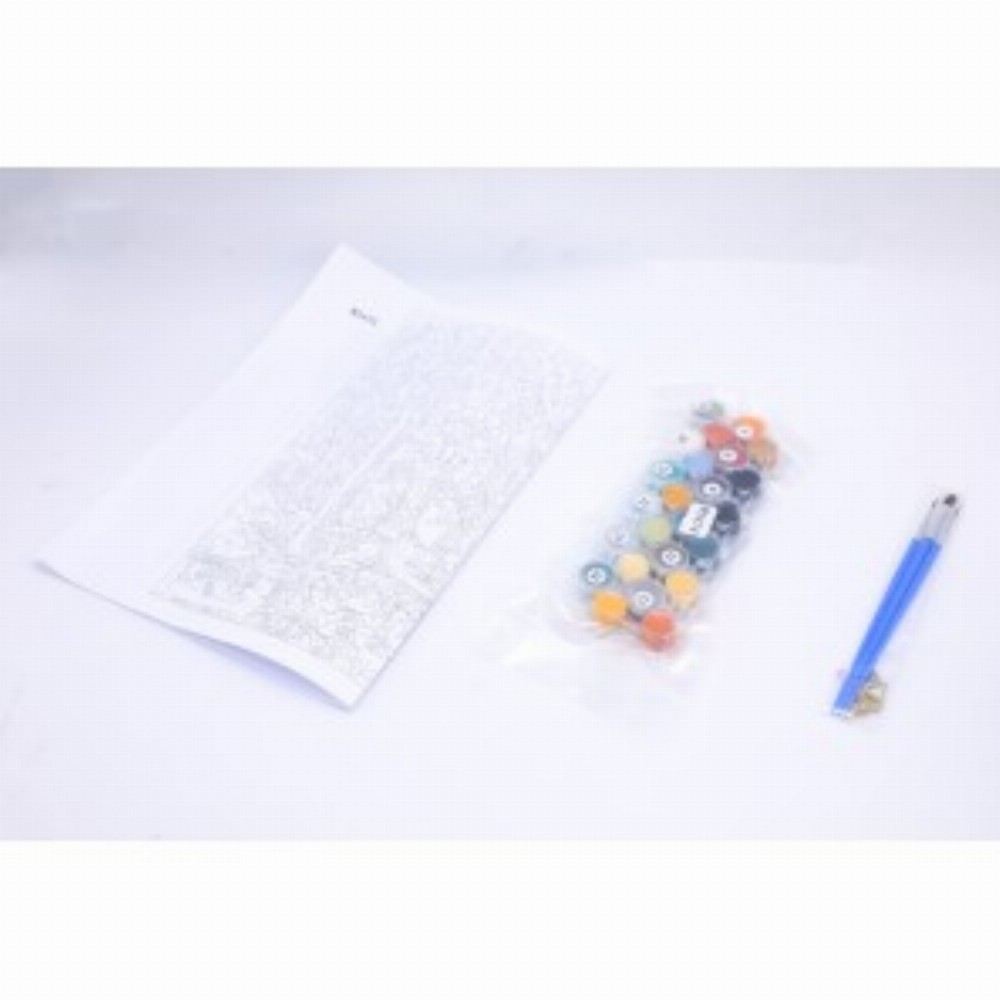 Panza Pictura Pe Numere 40x50 Cm