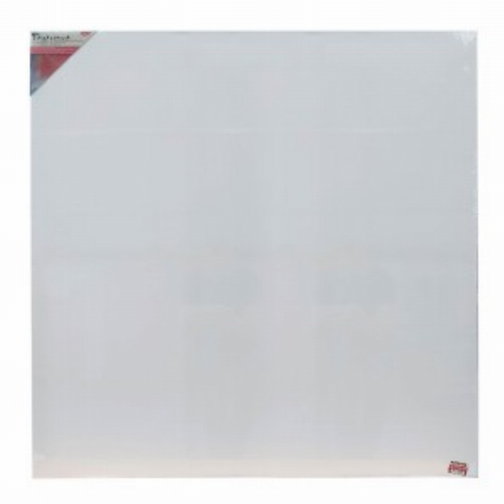 Panza Pictura Pe Sasiu 100x100 Cm