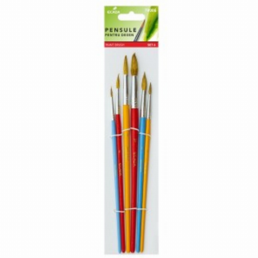 Pensula Set 6 10 Buc