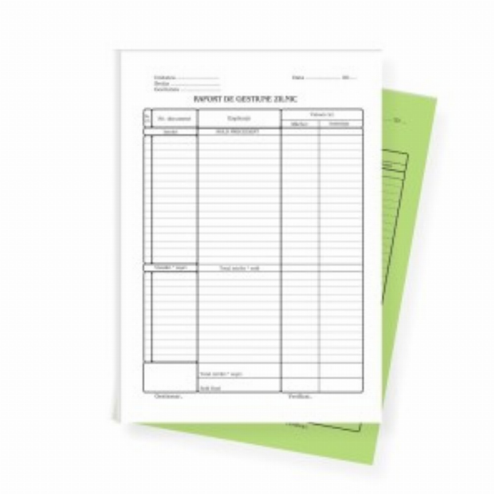 Raport Gestiune Zilnic Autocopiativ L03479